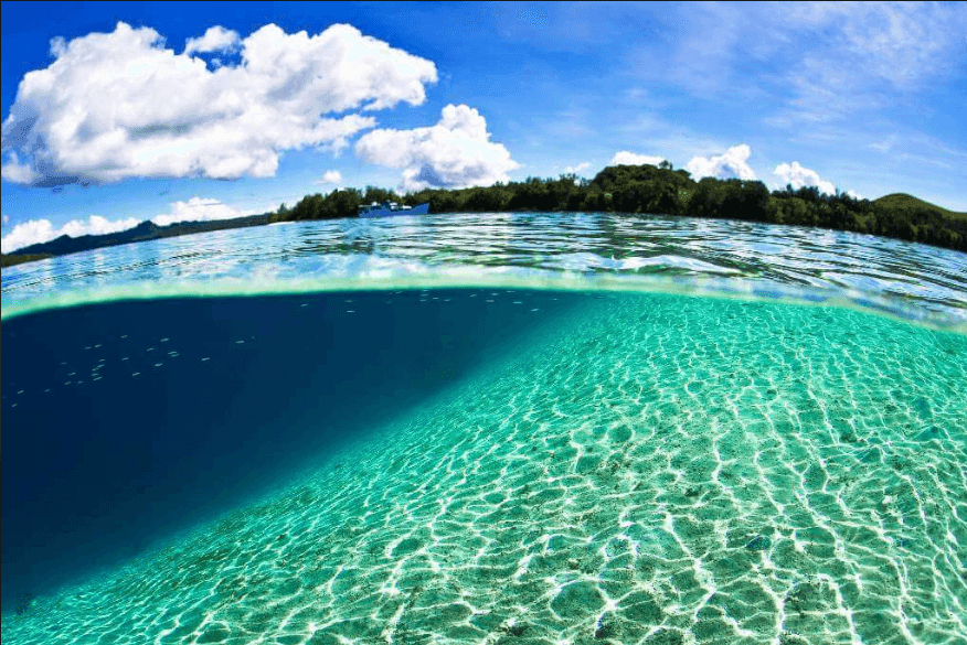 Beautiful serene photo half in and half out of beautiful sunny Florida beaches
